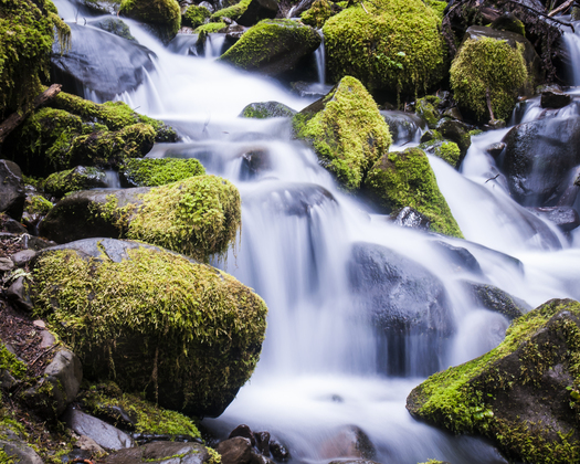 Olympic National Park