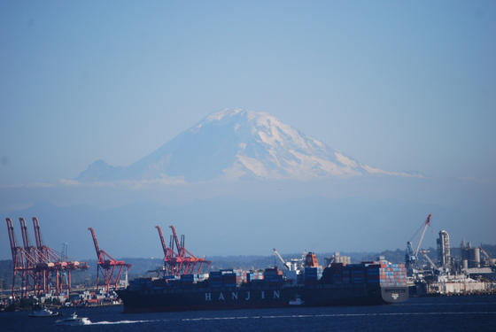 Mt. Ranier national Park