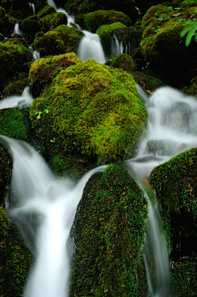Olympic National Park