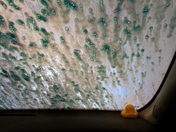 The Car Wash
