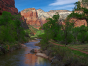Zion National Park