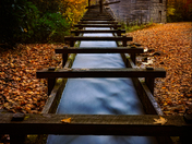 Smoky Mountain National Park