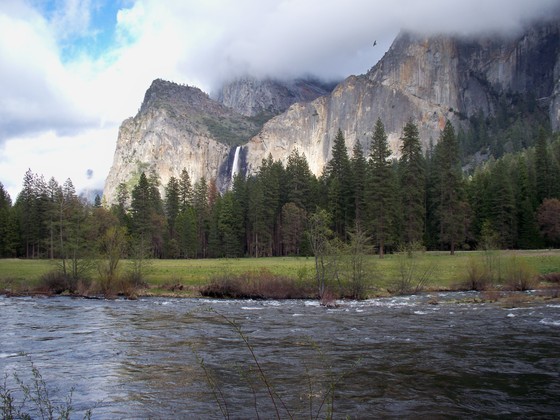 Yosemite National Park