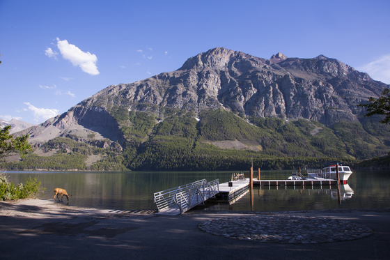 Glacier National Park