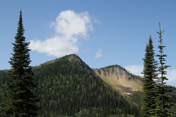 Flathead National Forest
