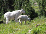 Glacier National Park