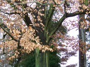 Antietam National Battlefield