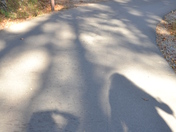 Great Smoky Mountains National Park