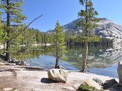 Yosemite National Park