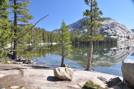 Yosemite National Park