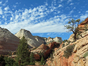 Zion National Park