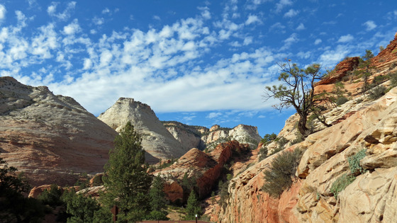 Zion National Park