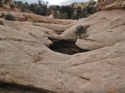 Capitol Reef National Park