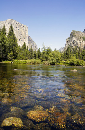 Yosemite National Park