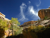 Natural Bridges National Monument
