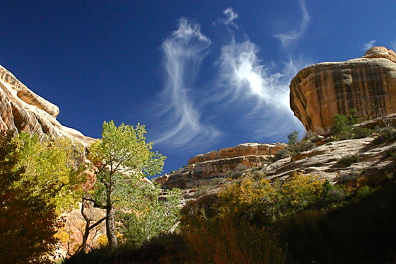 Natural Bridges National Monument