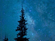 Yosemite National Park