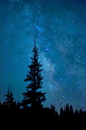 Yosemite National Park