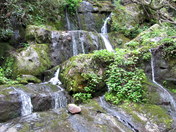 Great Smoky Mountains National Park