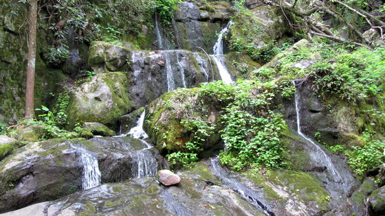 Great Smoky Mountains National Park