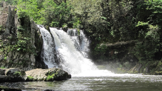 Great Smoky Mountains National Park