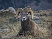 Rocky Mountain National Park