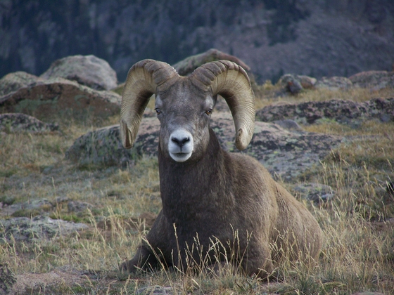 Rocky Mountain National Park