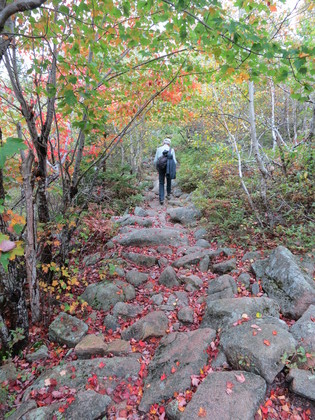 Acadia National Park