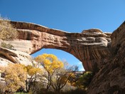 Natural Bridges National Monument