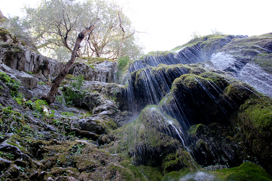 Los Padres National Forest