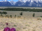 Grand Teton National Park 