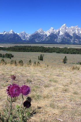 Grand Teton National Park 