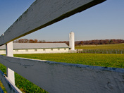 Eisenhower Farm