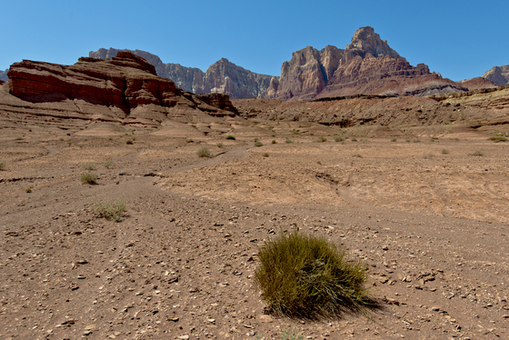 Vermilion Cliffs National Monument