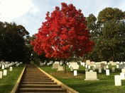 Arlington Cemetary