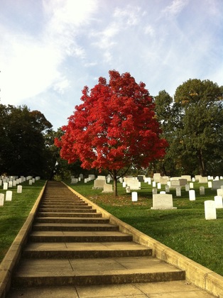 Arlington Cemetary
