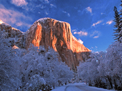 Yosemite National Park