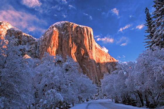 Yosemite National Park