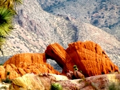 gold butte back country byway
