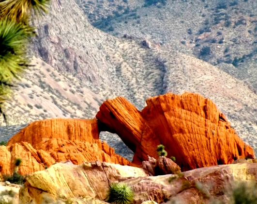 gold butte back country byway