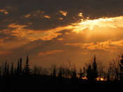 Orange in the morning...