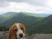 Great Smoking Mountains National Park