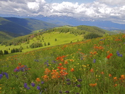 White River National Forest 