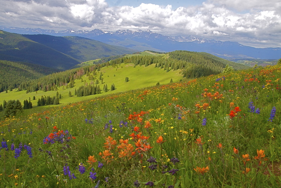 White River National Forest 