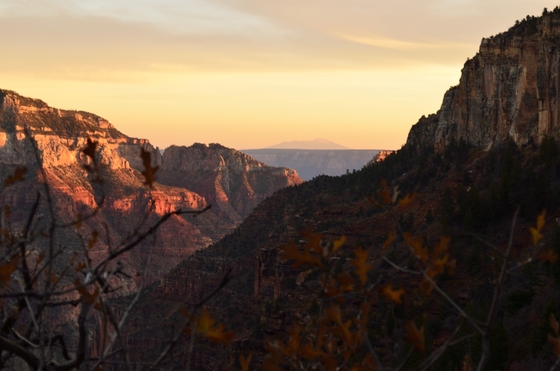 grand Canyon
