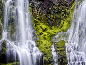 Willamette National Forest