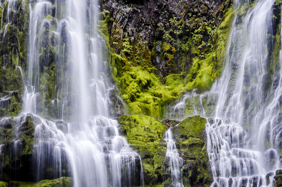 Willamette National Forest