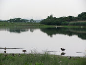 Gateway National Recreation Area