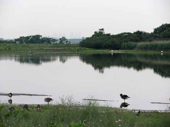 Gateway National Recreation Area
