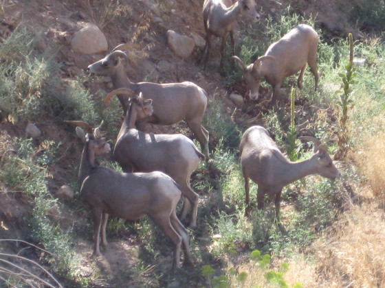 Zion National Park